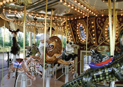 WILDLIFE CAROUSEL