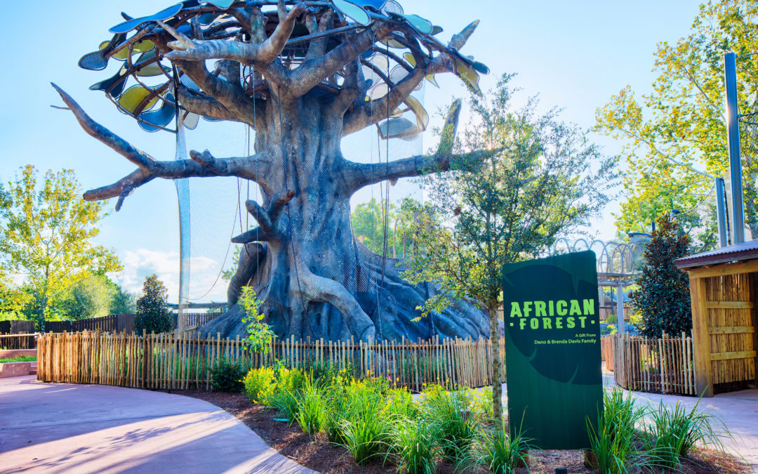 Jacksonville Zoo African Forest Exhibit