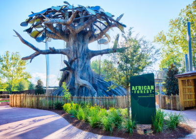 Jacksonville Zoo African Forest Exhibit